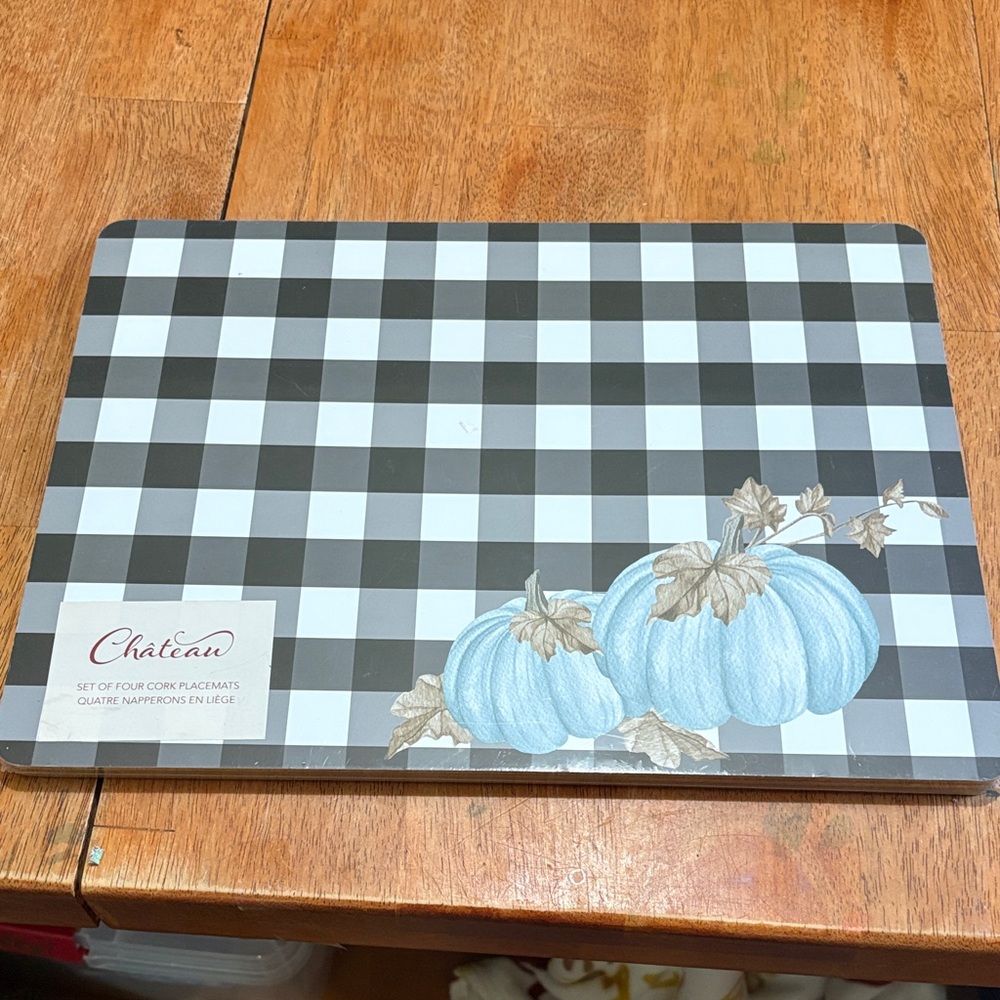 NWT sealed set of 4 cork board placemats